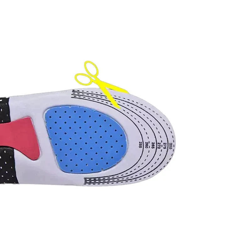 Plantillas Plantar Pro Alivyare ™